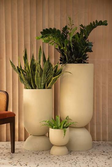 Editorial Planter Pot & Vessel